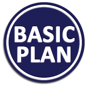 Basic Plan - Monthly (For 1 Year)